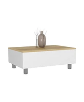 Depot E-shop Aran Lift Top Coffee Table, Storage Compartment