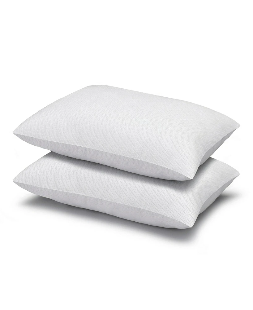 Ella Jayne Simple Comfort Down Alternative 2-Pack Pillow, Standard