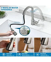 Skonyon 1.8 Gpm Brushed Nickel Kitchen Faucet with Pull Down Sprayer, High Arc Single Handle Stainless Steel Sink Faucets 1 or 3 Hole