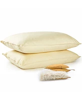 Cheer Collection Soft and Airy Cotton Kapok 2-Pack Pillows