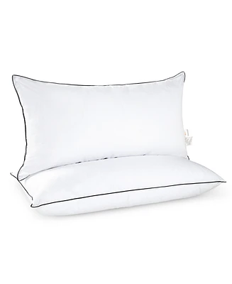 Cheer Collection Adjustable Layer Soft 2-Pack Pillows