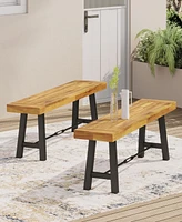 Catriona Bench