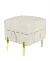 22 inches Anti-scratch Leather Storage Ottoman, Pet Friendly Entryway Bench with Golden Stainless Steel Legs