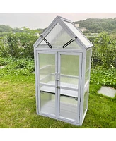Mini Greenhouse Kit
