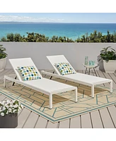 Cape Coral Kd Chaise Lounge Gry(Mp2)(Set Of 2)