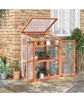 Streamdale Furniture Wooden Cold Frame Small Mini Greenhouse Cabinet for Outdoor and Indoor, 30" L x 24" W x 44" H, Natural