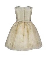 Blueberi Boulevard Toddler and Little Girls Fit-and-Flare Gold Tulle Floral Applique Dress