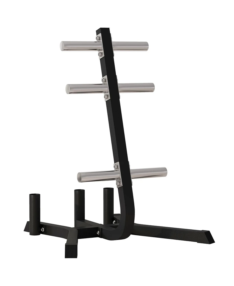2-inch Weight Rack for Plates and 3 Bars, Olympic Weight Tree Bumper Plate Storage Holder, 660 lbs. Capacity, Black