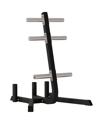 2-inch Weight Rack for Plates and 3 Bars, Olympic Weight Tree Bumper Plate Storage Holder, 660 lbs. Capacity, Black