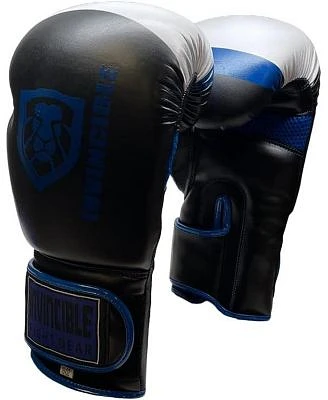 Invincible Fight Gear Hook Loop Leather Training Boxing Gloves With Usa Flag Colors Ideal For Boxing Kickboxing Muay Thai Mma For Men Women Kids 14oz