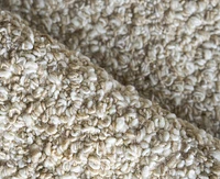 Exquisite Rugs Ferretti 5754 2'x3' Area Rug