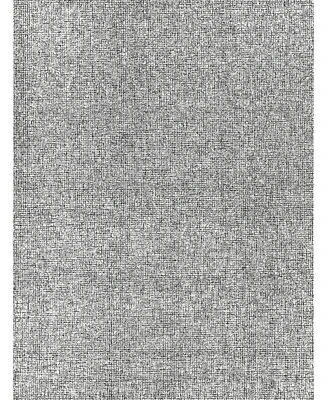 Exquisite Rugs Caprice 2'x3' Area Rug