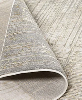 Feizy Aura 3736F 3'11"x6' Area Rug