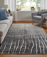 Feizy Kano 39LIF 4'3"x6'3" Area Rug