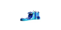 JumpOrange Dolphins Commercial Grade Bounce House Water Slide with Dual Lane and Detachable Pool for Kids and Adults (with Blower), Tunnel Entrance, B