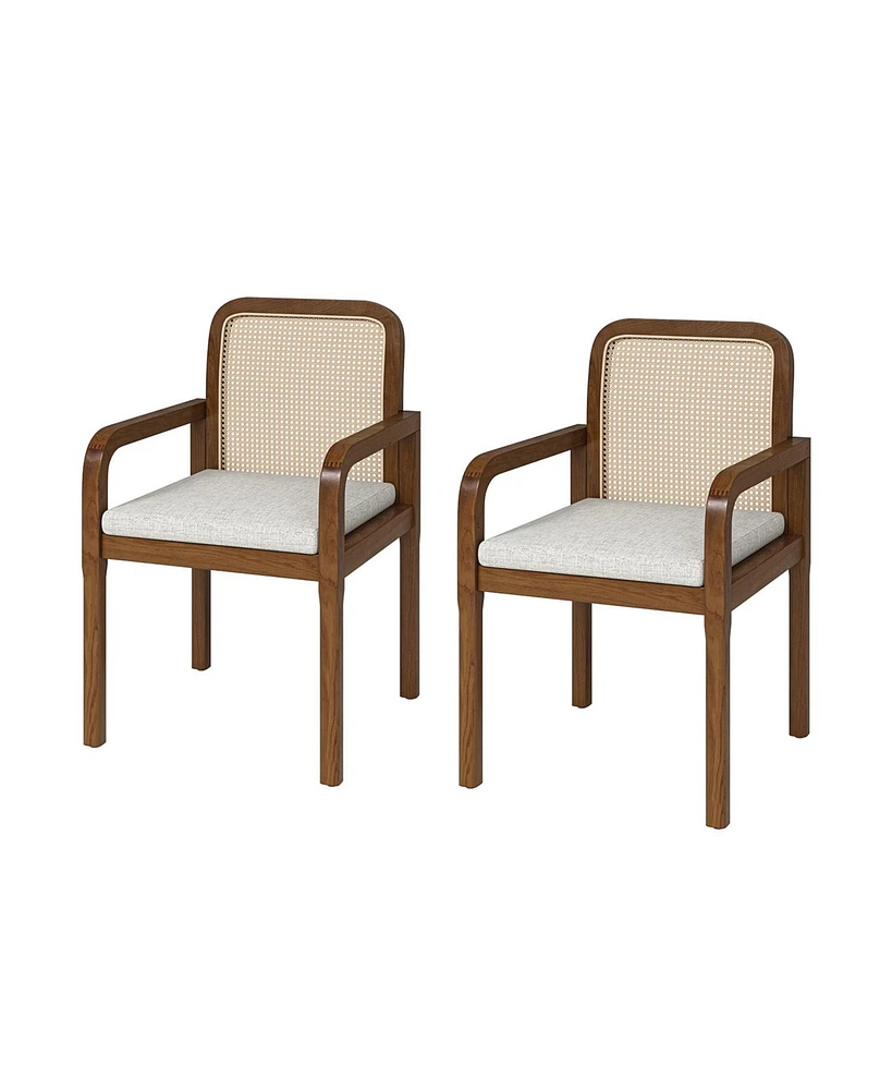 Javier Modern Ratten Dining Chair with Removable Seat Cushions