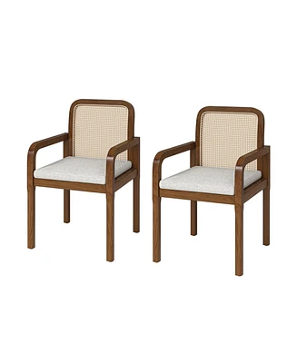 Javier Modern Ratten Dining Chair with Removable Seat Cushions