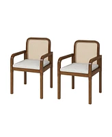 Hulala Home Javier Modern Ratten Dining Chair with Removable Seat Cushions