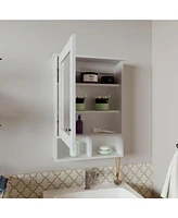 Anamoose Medicine Cabinet with 5 Shelves, 1 Door, and 1 Mirror, White