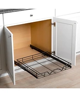 Florida Brands Black Pull Out Cabinet Organizer 20 x 21 In