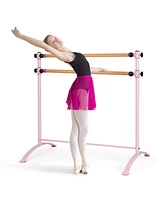 Hongge 4 Foot Portable Freestanding Double Ballet Barre