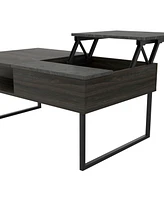 Atlanta Lift Top Coffee Table, One Shelf