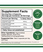 Double Wood Supplements Andrographis