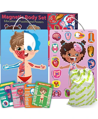 Quokka Human Body Parts Anatomy Skeleton Magnetic Puzzles for Kids 3-5 - Assorted Pre