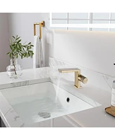 Mondawe Single Handle Single Hole Bathroom Faucet with Water Supply Hoses Brushed Gold