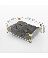 The Licker Store Haines 21.5" x 15.25" Small/Medium Modern Lucite Velvet Pet Bed with Washable Cushion