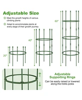 Sugift 3-Pack Garden Trellis 40 Inch Tall Plant Support Stands with Clips and Ties