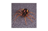 Transformers Mp-46 Blackarachnia Masterpiece Beast Wars