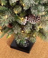Glitzhome Pre-Lit Flocked Pine Artificial Christmas Porch Tree