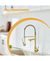 Flynama Spring Double Handles Deck Mount Pull Out Sprayer Kitchen Faucet with Clean Water Outlet