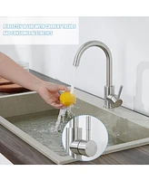 Flynama Single Handle Surface-Mounted Kitchen Faucet