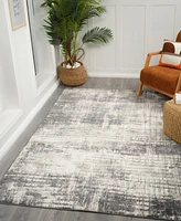 Amer Rugs Clifton CLF2 2'6"x9' Runner Area Rug