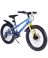 Streamdale Furniture 20 Inch Kids Bicycles, Fat Tire Mountain Bike for Boys and Girls Age 5 + Years, Dual-Disc Brake