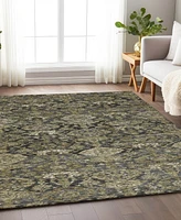 Addison Chantille Machine Washable ACN1084 8'x10' Area Rug