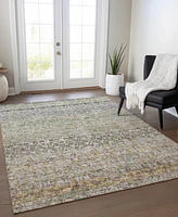 Addison Chantille Machine Washable ACN1173 8'x10' Area Rug