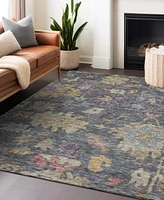 Addison Chantille Machine Washable ACN1108 8'x10' Area Rug