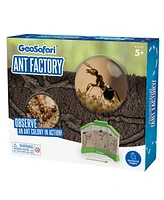 Educational Insights GeoSafari Ant Factory