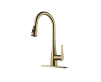 Casainc 1.8 Gpm Pull Down Kitchen Faucet with Deck Plate