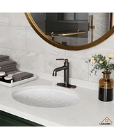 Casainc Single Hole Faucet Single-handle Bathroom with Drain Assembly