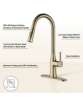 Casainc 1.8 Gpm Single-Handle Pull-Down Kitchen Faucet Single Hole with Deck Plate