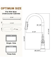 Casainc Single-Handle Pull-Down Kitchen Faucet Single Hole with Deck Plate