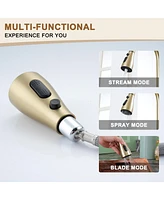 Casainc Single-Handle Pull-Down Sprayer Kitchen Faucet with Digital Display