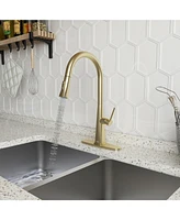 Casainc Pull Down Kitchen Faucet with Deck Plate