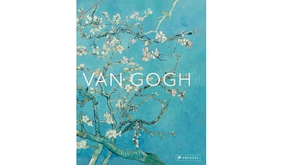 Barnes & Noble Van Gogh: The Bigger Picture by Anne Sefrioui