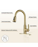 Casainc Single-Handle Pull-Down Kitchen Faucet Single Hole