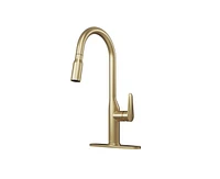 Casainc Single-Handle Pull-Down Kitchen Faucet Single Hole